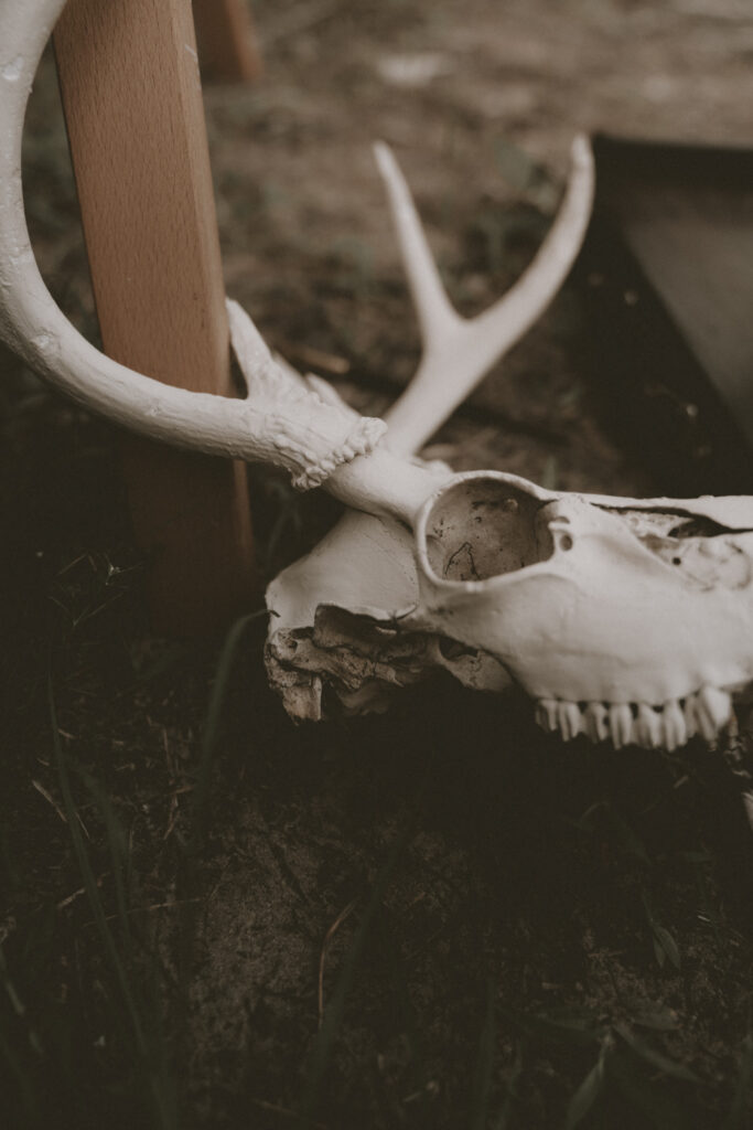 Documentary style moody elopement photo session in western north carolina